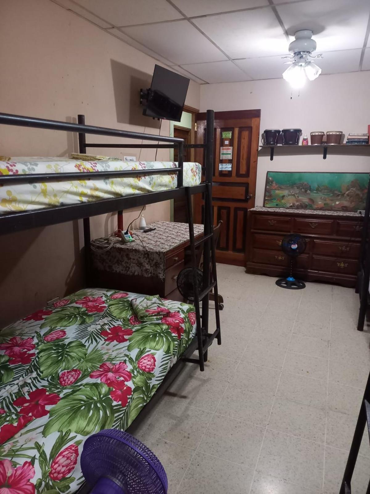 Pacasa Hostel David Bagian luar foto