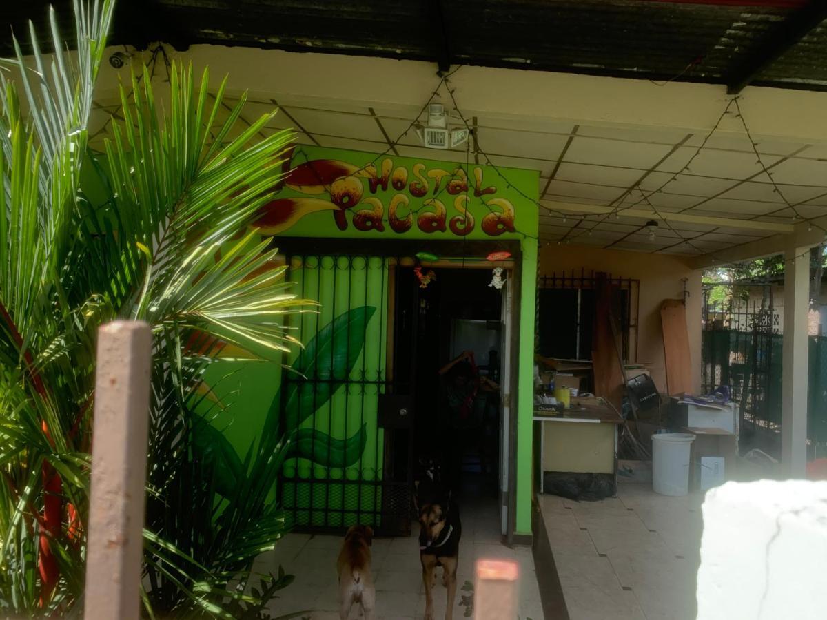 Pacasa Hostel David Bagian luar foto