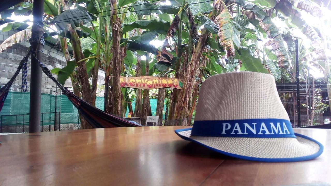 Pacasa Hostel David Bagian luar foto
